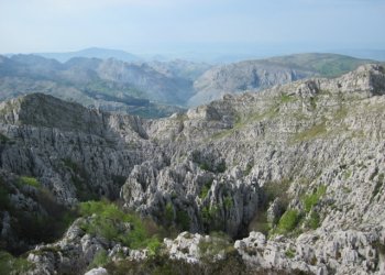 IMG_1072