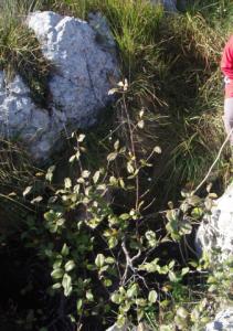 OCTUBRE 2011