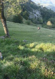 OCTUBRE 2011